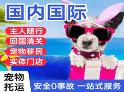 兴义万峰林机场物流国际宠物托运 【国